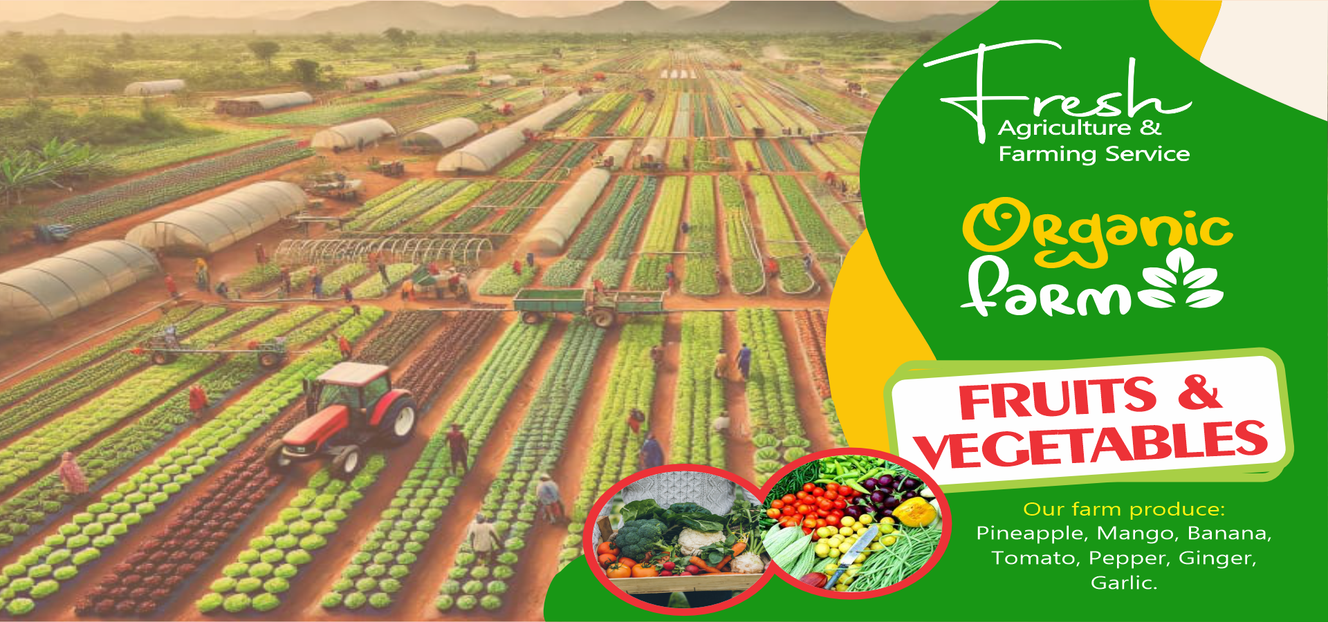 Fruit & Vegetables